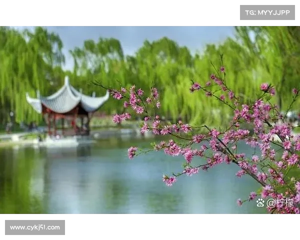 如何拍摄梦幻新诛仙中的美丽风景捕捉游戏中的绝美画面与奇幻景致 如何拍摄梦幻新诛仙中的美丽风景捕捉游戏中的绝美画面与奇幻景致