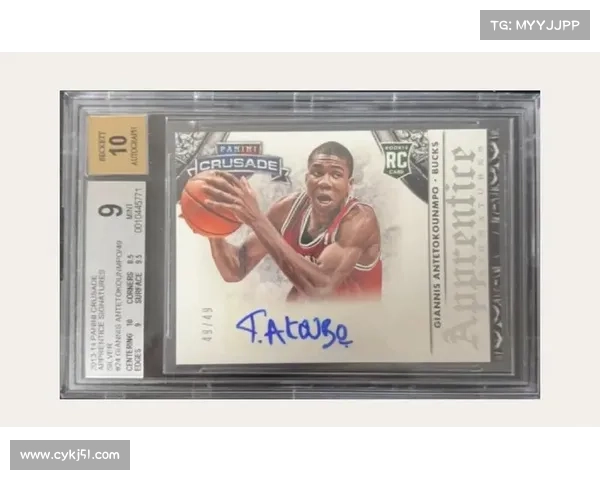 字母哥的国家归属与篮球生涯发展分析：从希腊到NBA的崛起之路