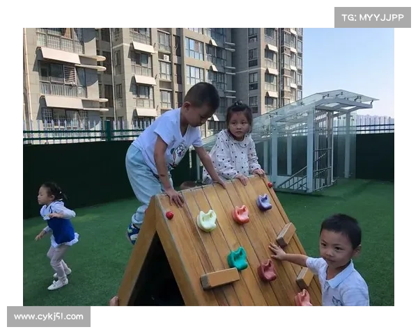 巴舒亚伊如何通过实践与环境学习多种语言的独特方法与经历